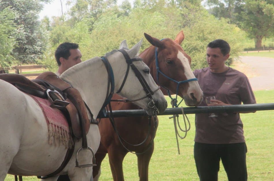 Polo Experience in Buenos Aires Argentina!