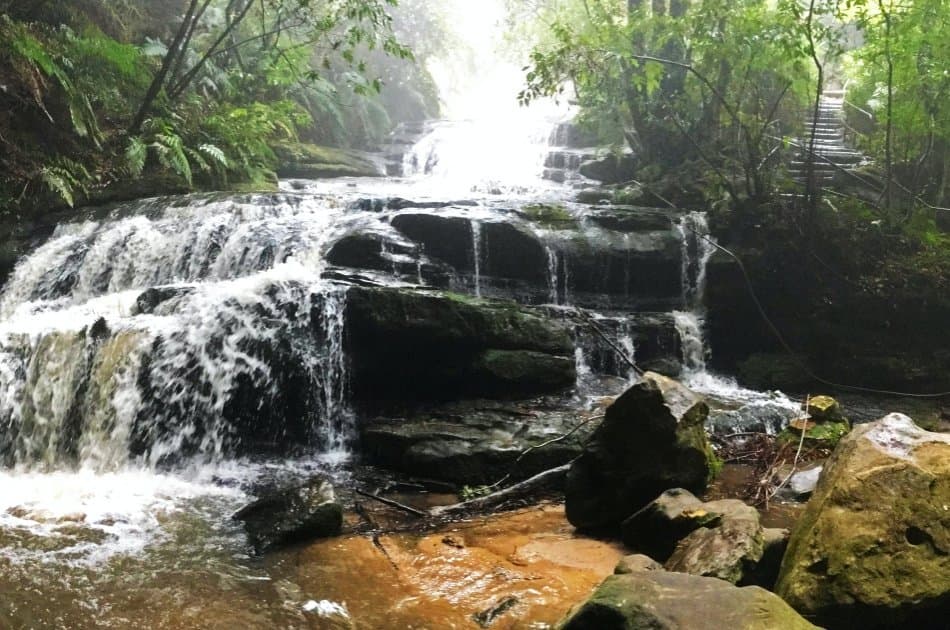 PRIVATE BLUE MOUNTAINS TOUR