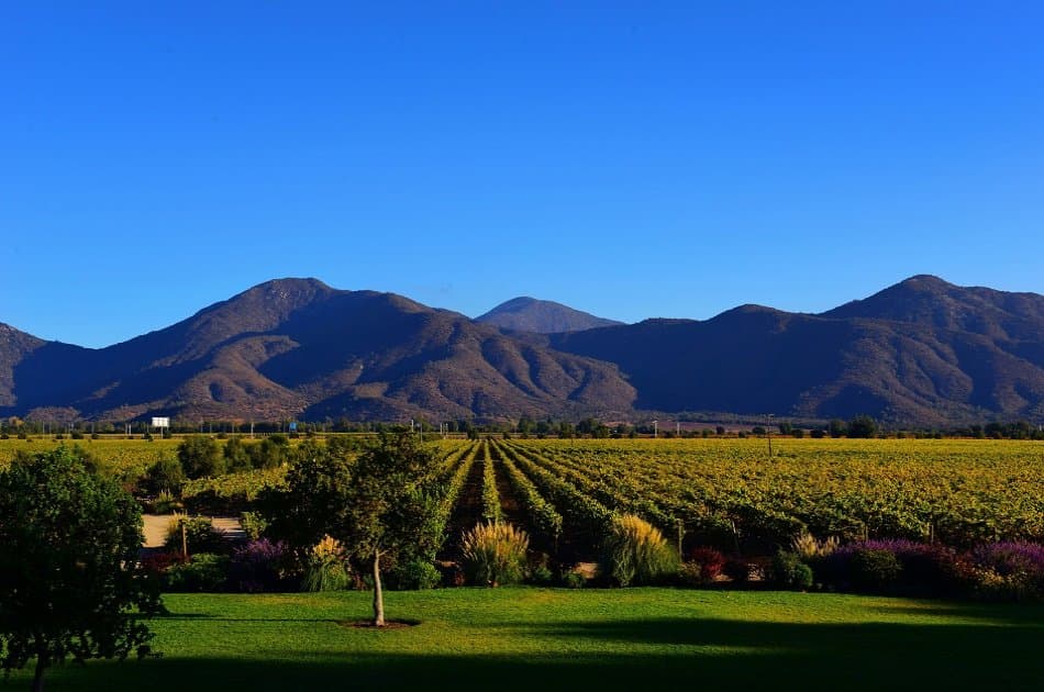Casablanca Valley and Its Wines
