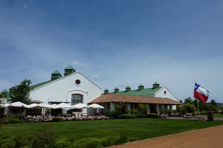 Casablanca Valley and Its Wines