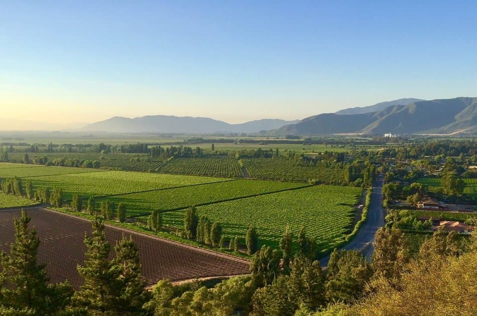Colchagua Valley and Its Wines