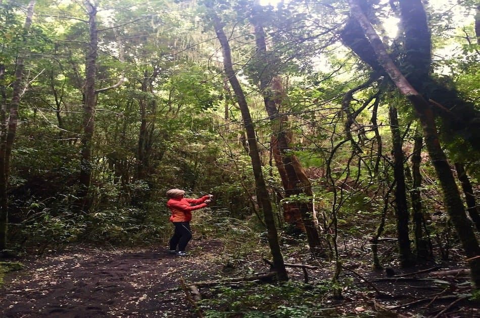 Solitario Hike Volcan Osorno Petrohue Falls