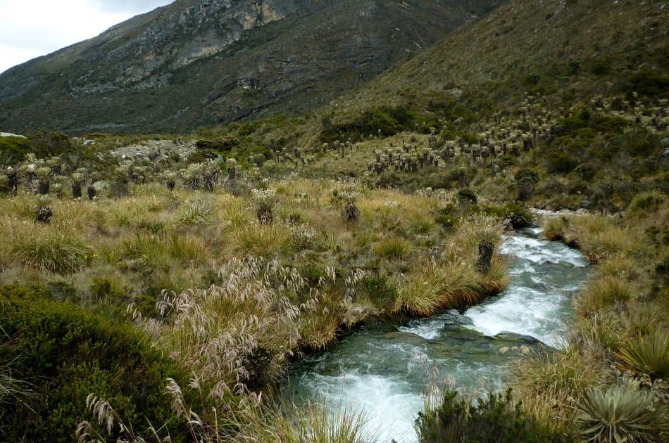 Trekking the El Cocuy Mountain Range