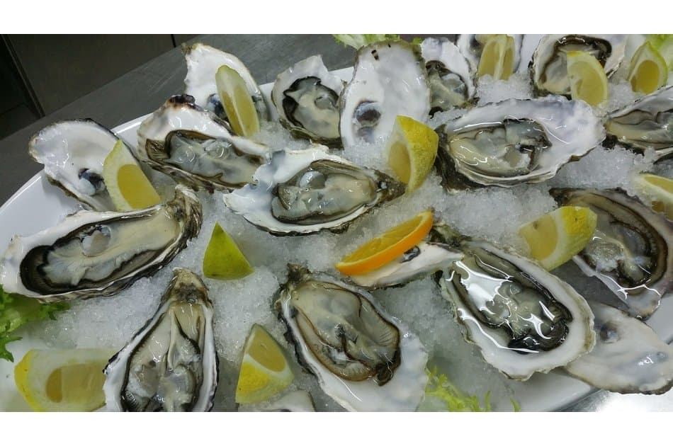 Wine &amp; Oysters -  Taste of Dalmatia