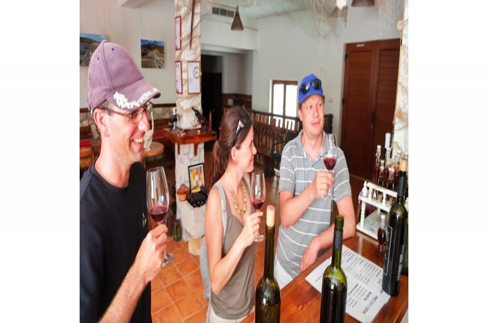 Wine &amp; Oysters -  Taste of Dalmatia