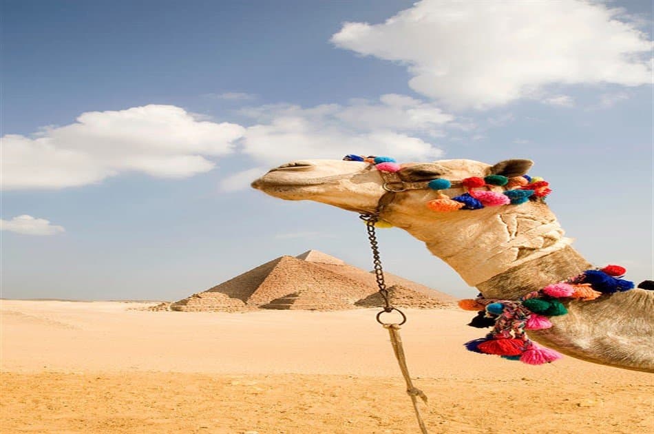 Day Tour to Giza Pyramids by Camel