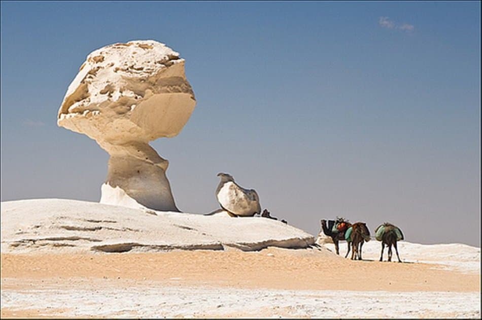 Overnight in White Desert &amp; Bahariya Oasis