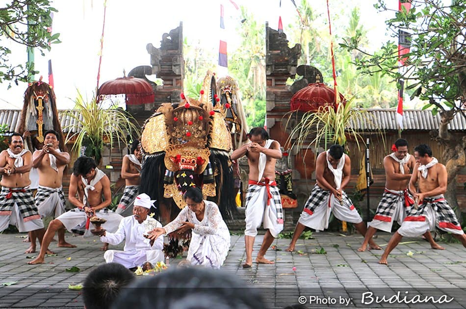 10 Hour Minibus Rental With Driver