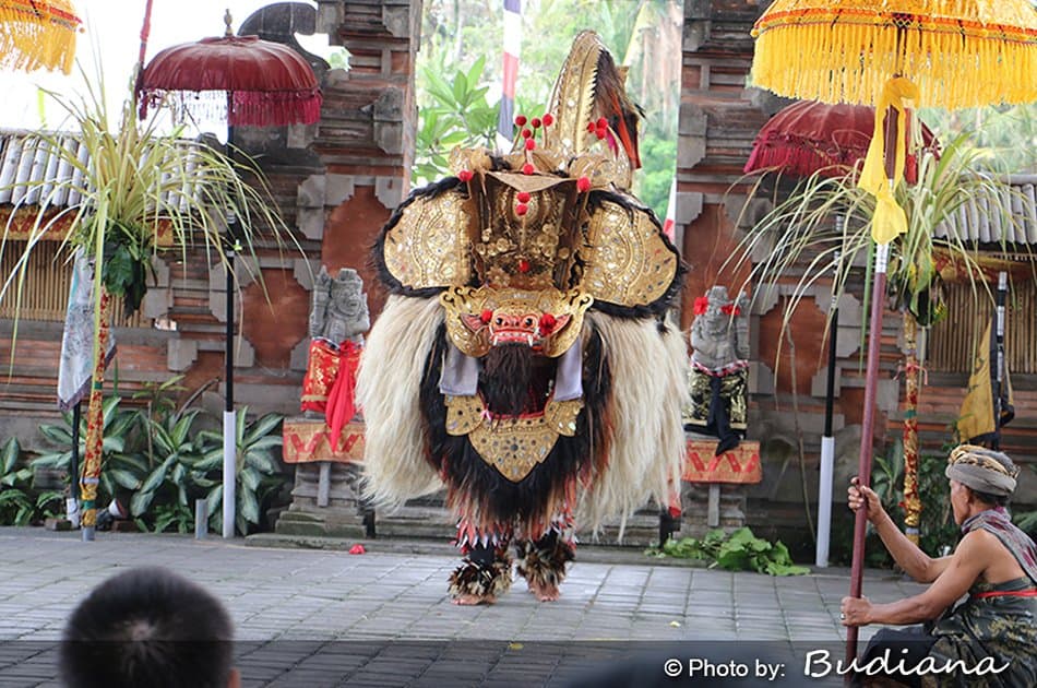 10 Hour Minibus Rental With Driver