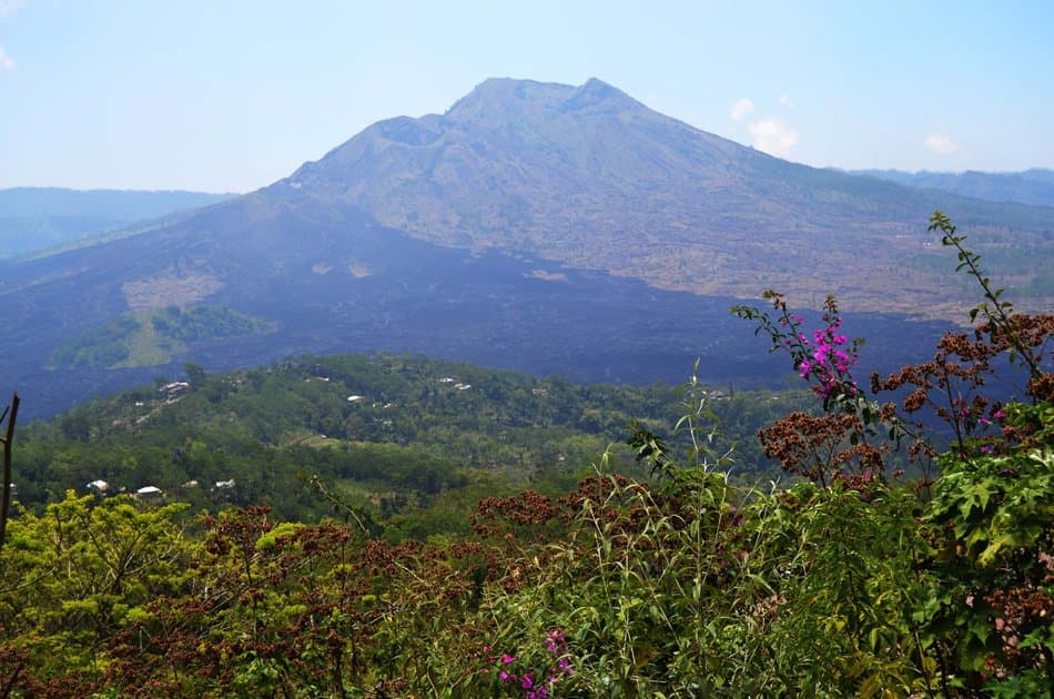 Bali Highlights Private Day Tour