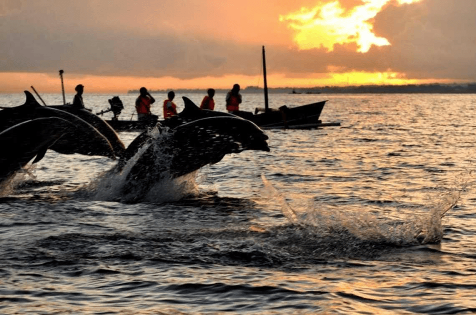 Bali Lovina Dolphin Tour