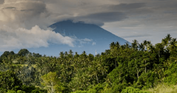 Half Day Bayad Eco Trek