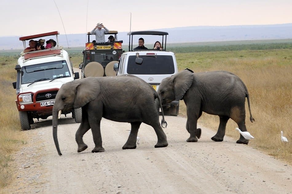 3 Day Amboseli National Park Safari