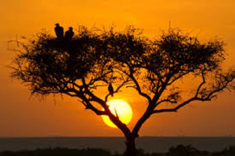 3 Days Masai Mara Safari Kenya