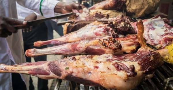 4hrs. Carnivore experience