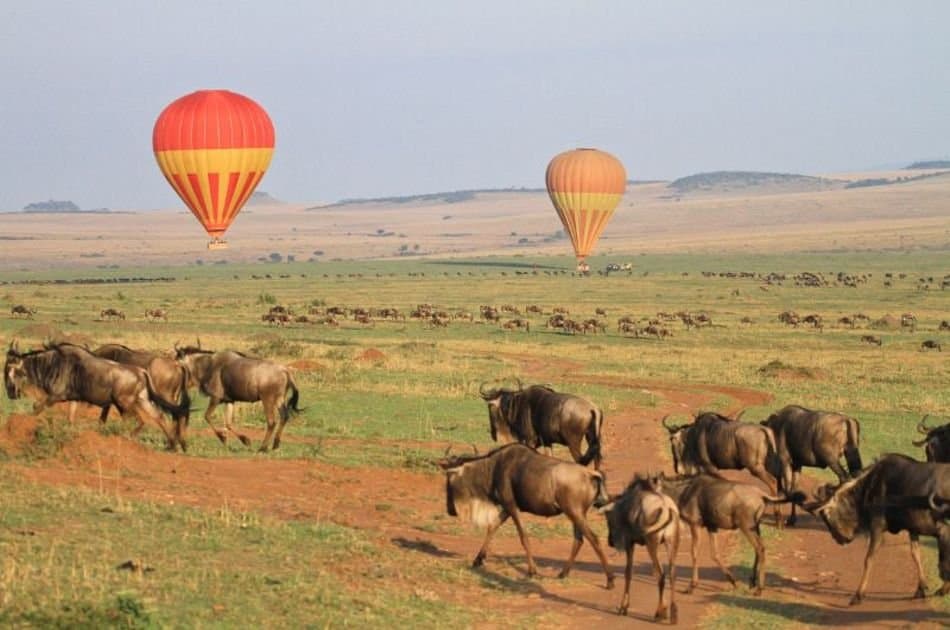 8 Days Best of Kenya Safari