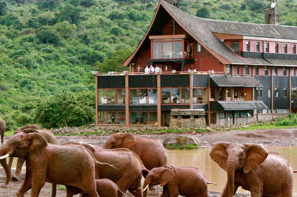 8 Days Northern Kenya Circuit  Safari