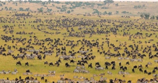 8 Days Scenic Kenya Safari