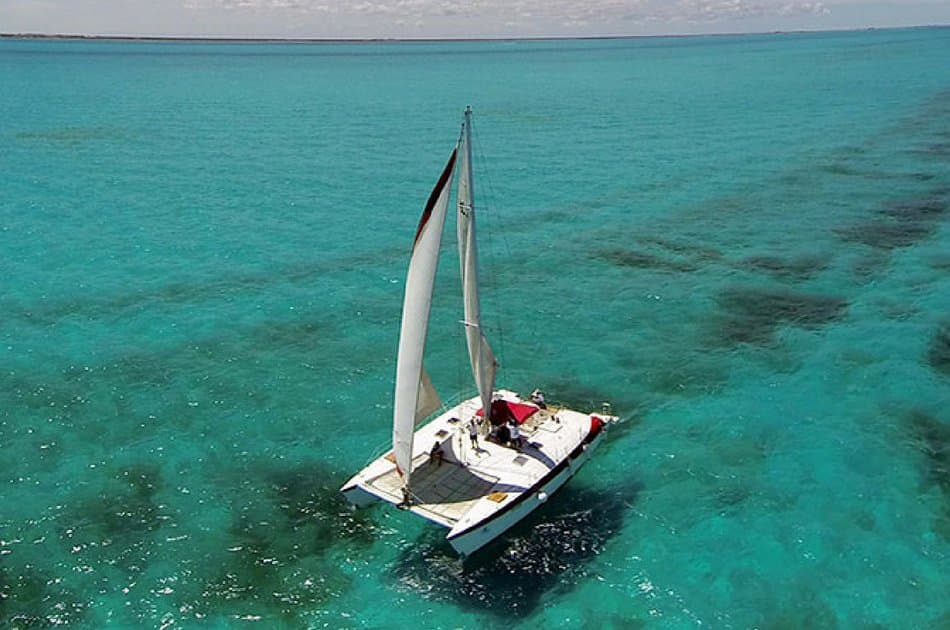 4 Hour Adventuras Catamaran Tour (up to 40 people)