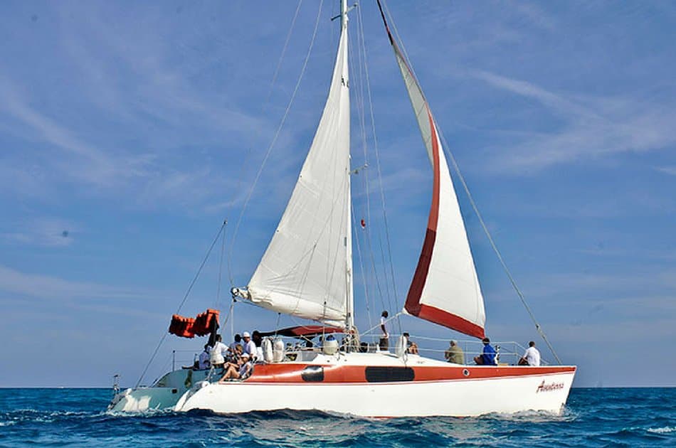 4 Hour Adventuras Catamaran Tour (up to 40 people)