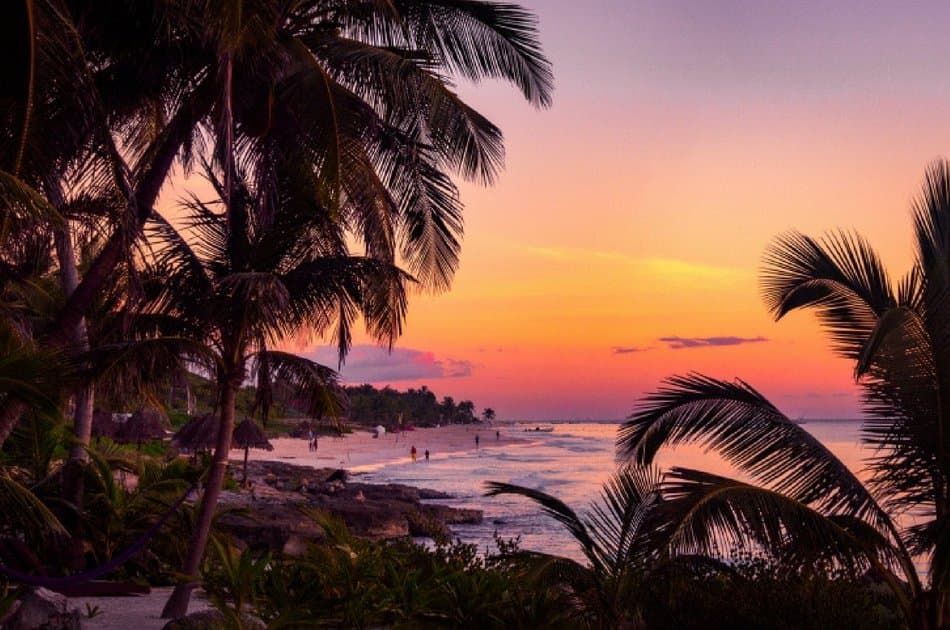 Discover Tulum Playa Paraiso Express Private Tour