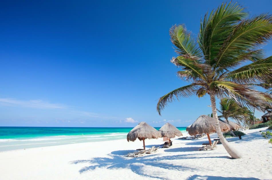 Discover Tulum Playa Paraiso Express Private Tour
