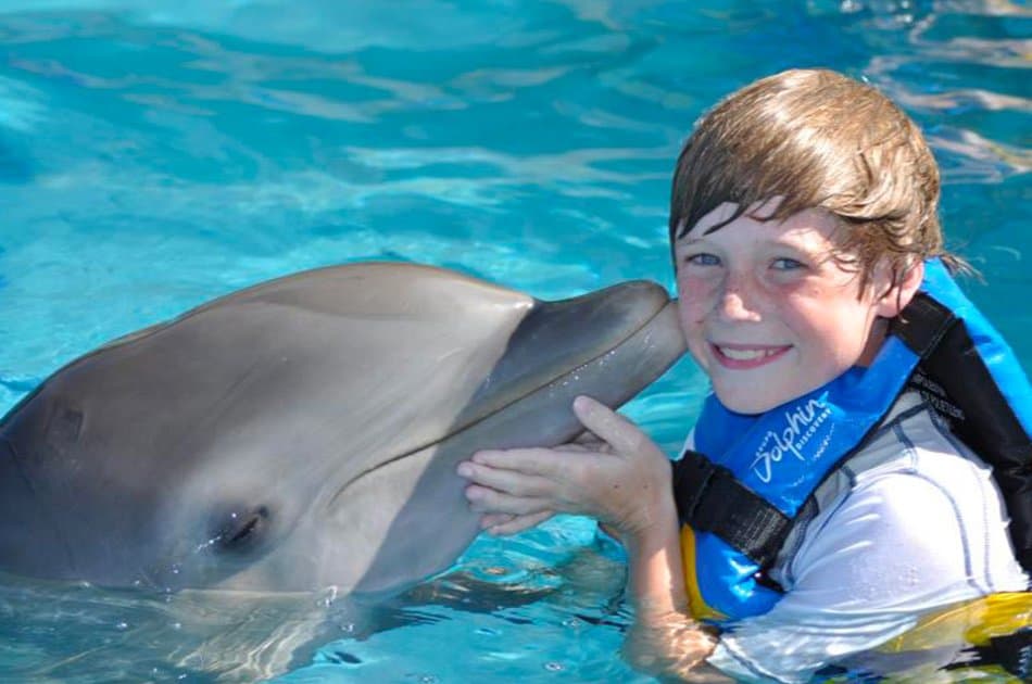 Dolphin Encounter in Isla Mujeres
