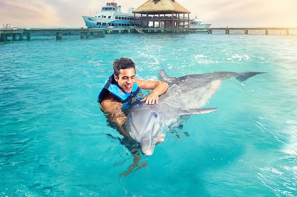 Dolphin Encounter in Isla Mujeres