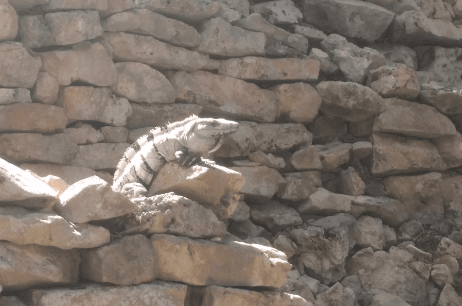 Private Tulum Afternoon Tour