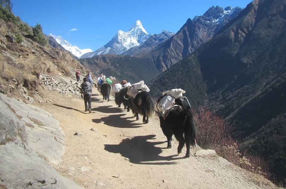 Everest Base Camp Trekking