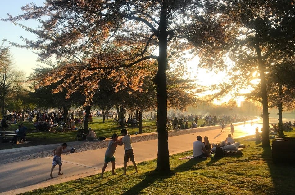 Amsterdam BBQ at the Park