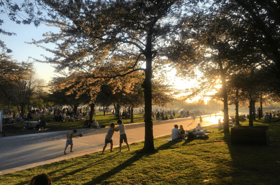 Amsterdam Maritime Museum