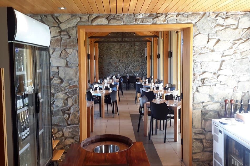 Marlborough Wine and Vineyard Tour