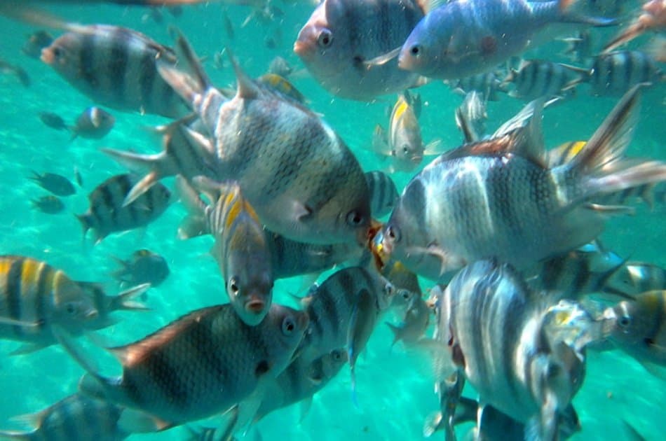 El Nido Tour - Lagoon Adventure