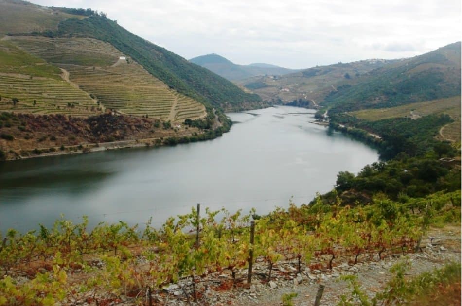 Douro Private Tour From Porto