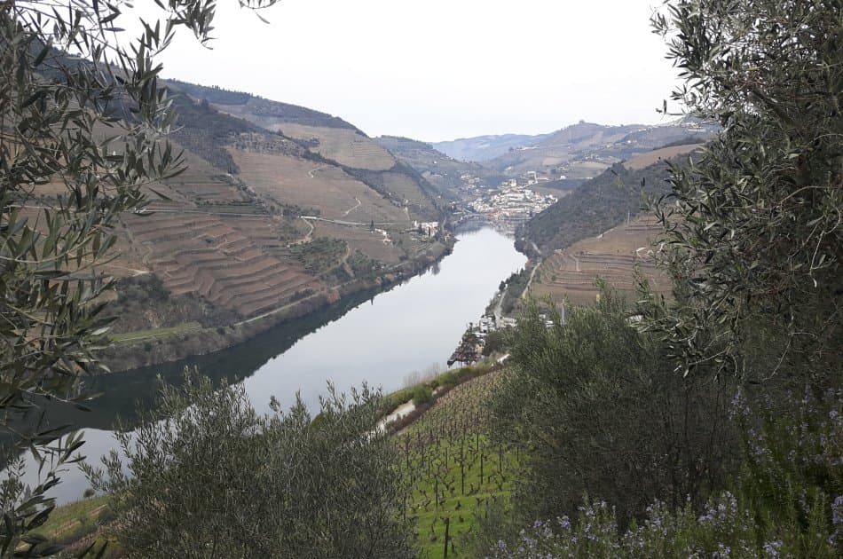 Douro Private Tour From Porto