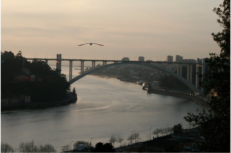 Porto Full Day Private Tour