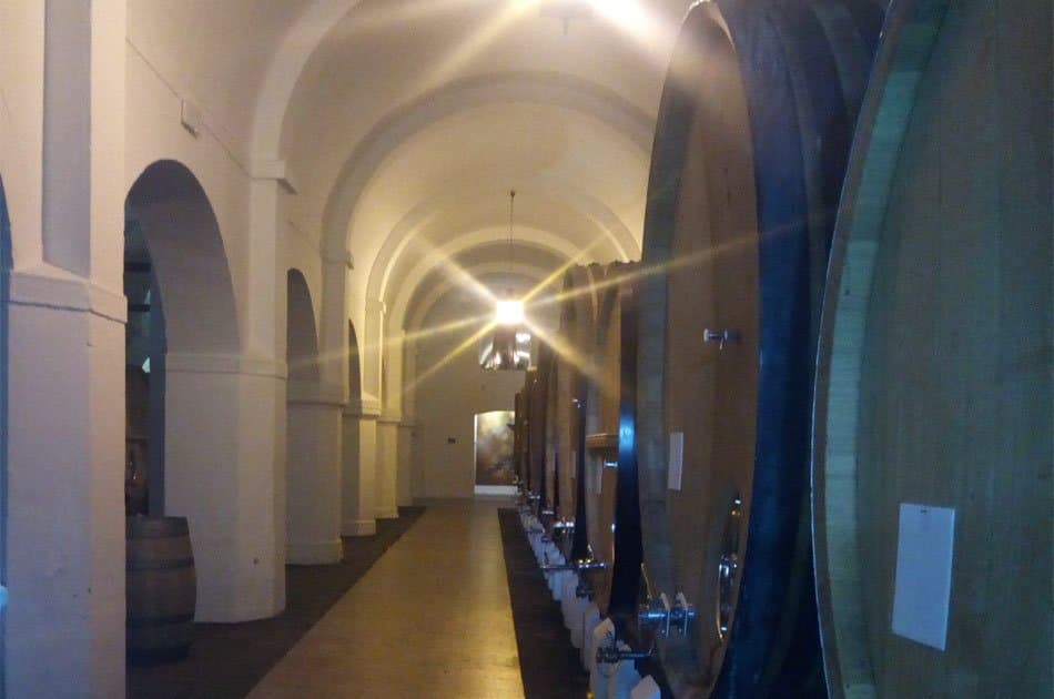 Évora Private Tour - Wine Tourism from Lisbon