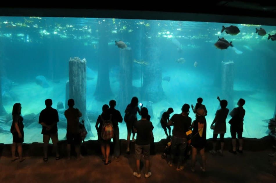 Singapore River Safari