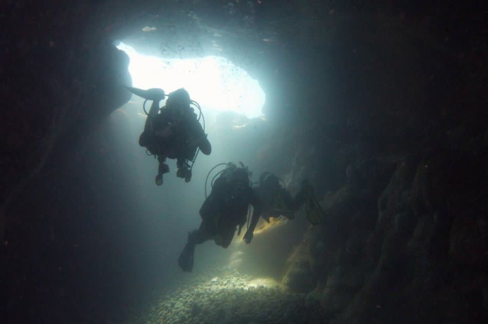 Dives Packages with Transfers in Tenerife