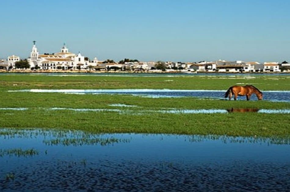 Doñana Nature Park -  Off the Beaten Path Tour