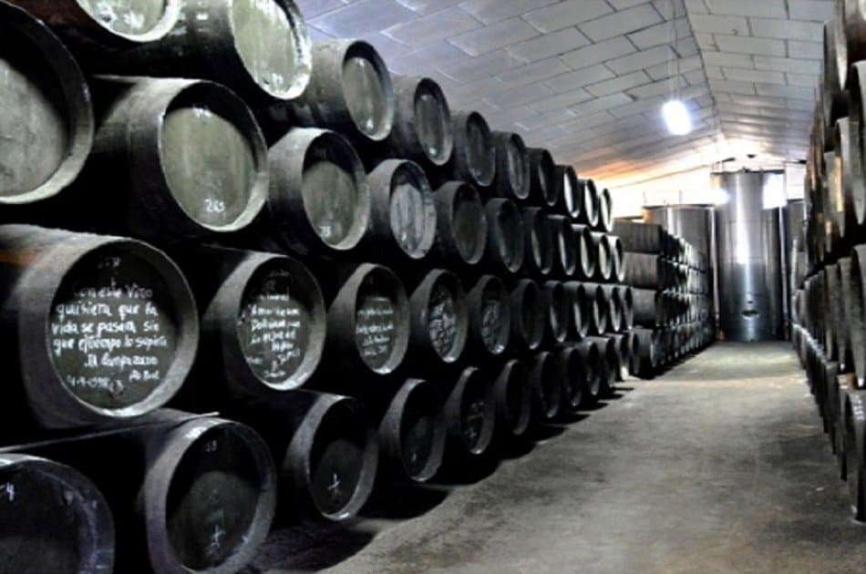 Private Cadiz Day Tour Bespoke From Seville