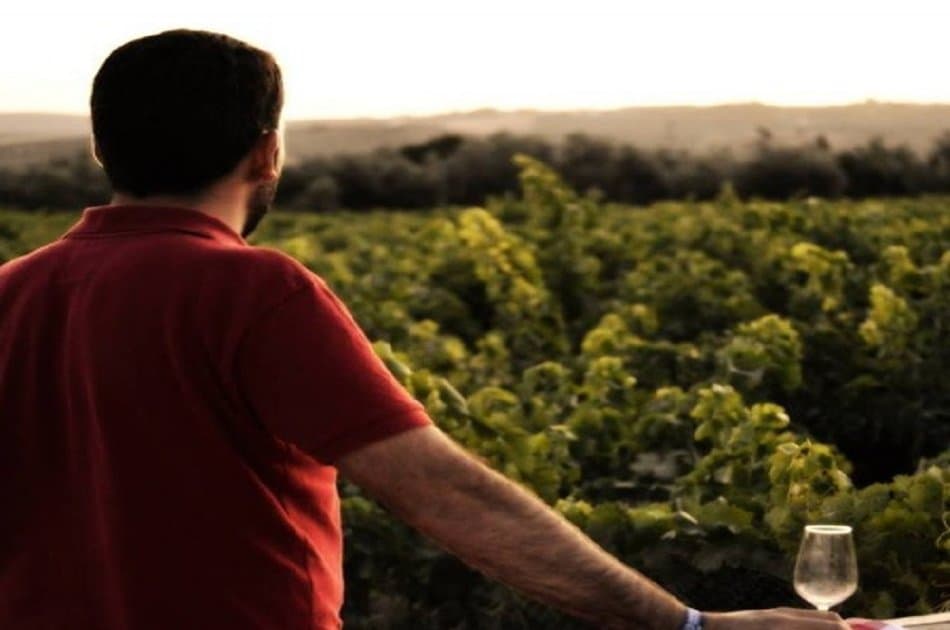 Semi Private Jerez Tour From Seville