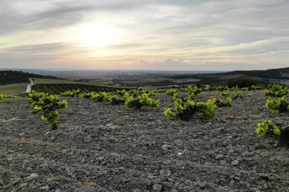 Semi Private Jerez Tour From Seville