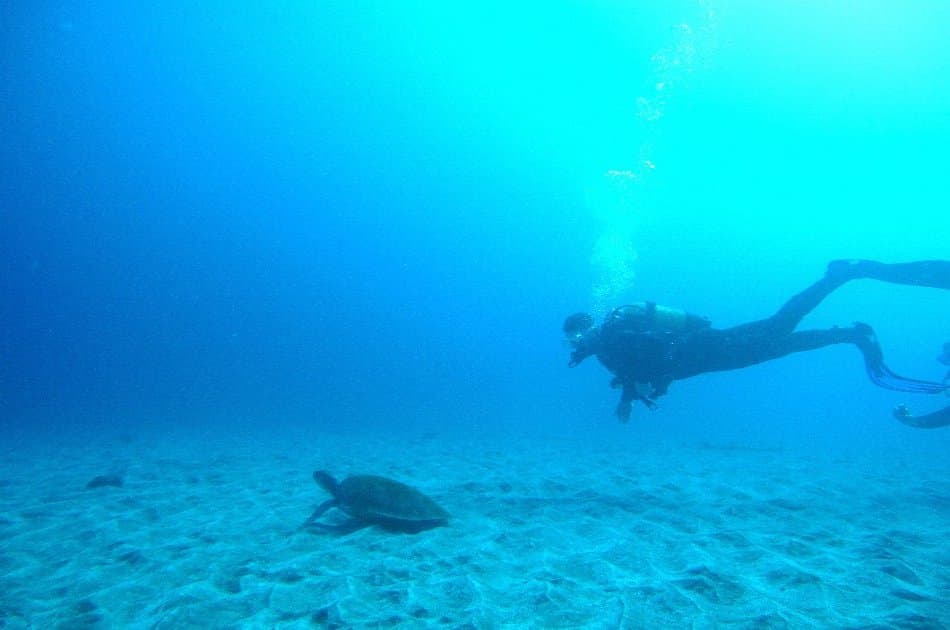 SSI Discover Scuba Diving