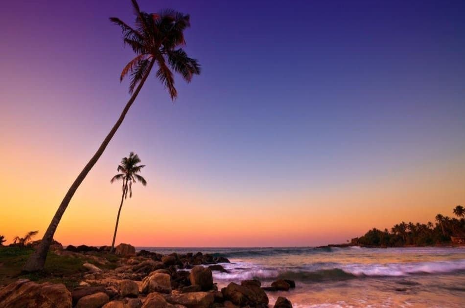 6 Day Tour of Spectacular Sri Lanka