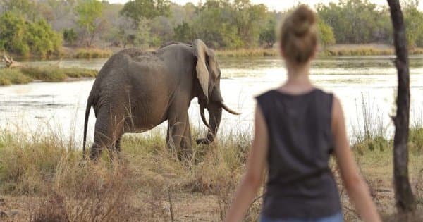 1 Day Selous Game Reserve Safari Tanzania