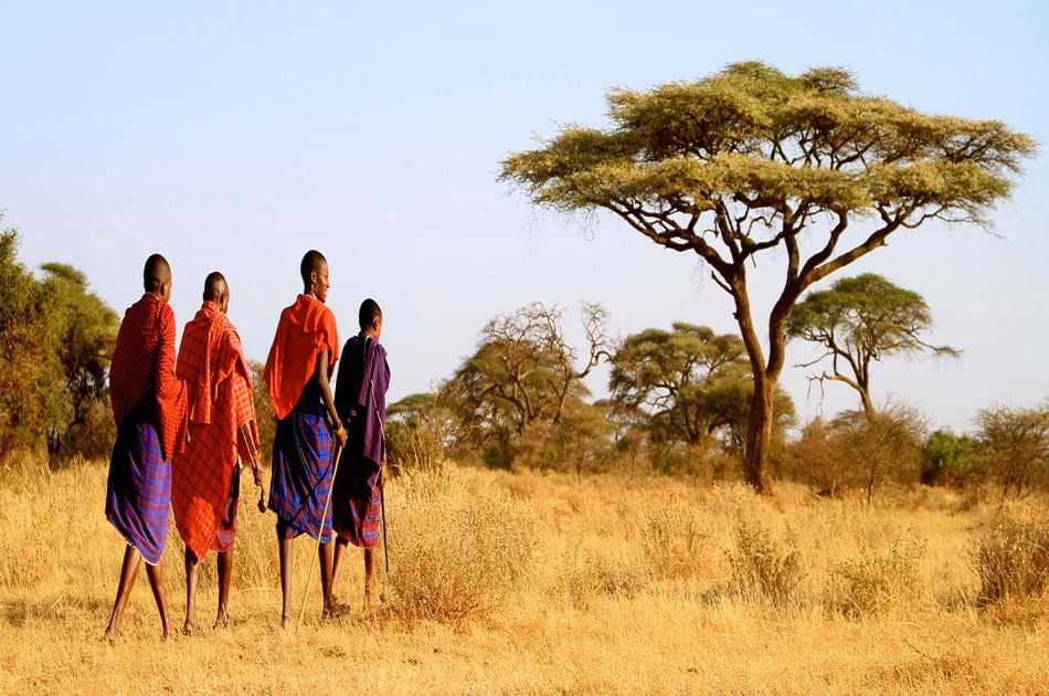 12 Days Budget Caming Tanzania Safari