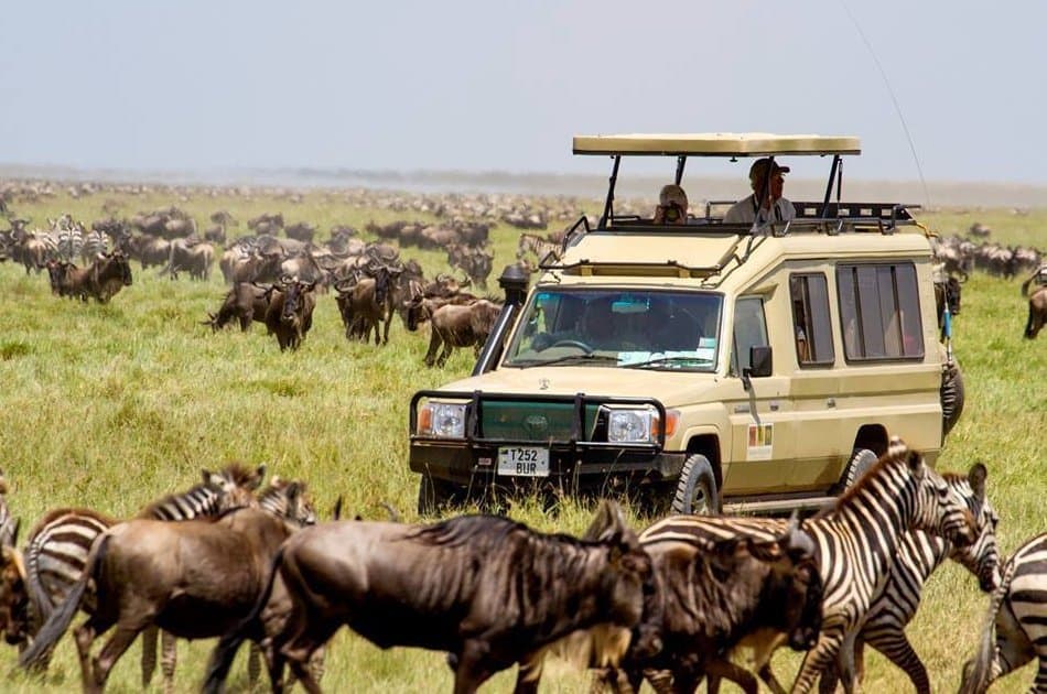 12 Days  Kenya and Tanzania Safari