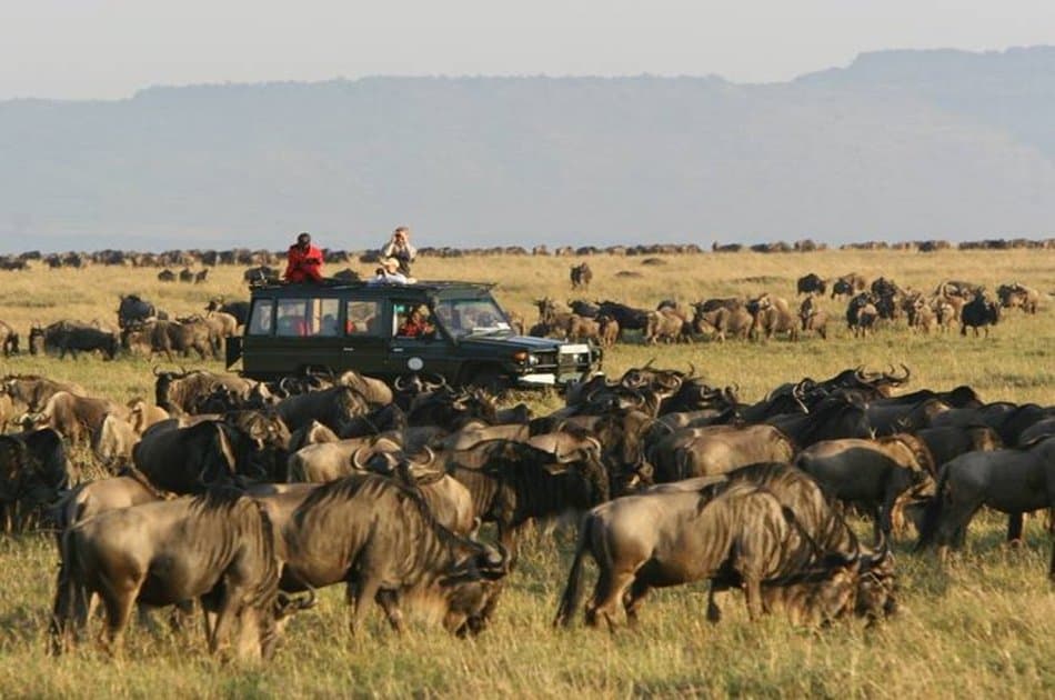 8 Days Ultimate Tanzania Safari
